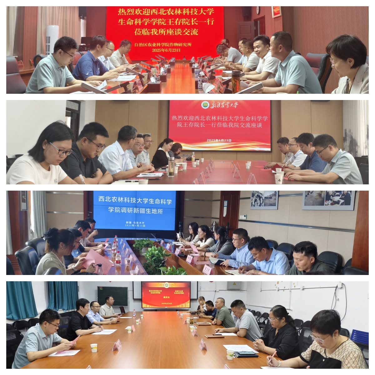 调研现场.jpg