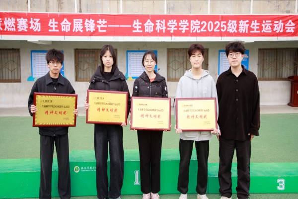 精神文明奖.jpg