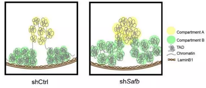 e9492ad369e9451aa3a5d024ee32e9d7.png image.png