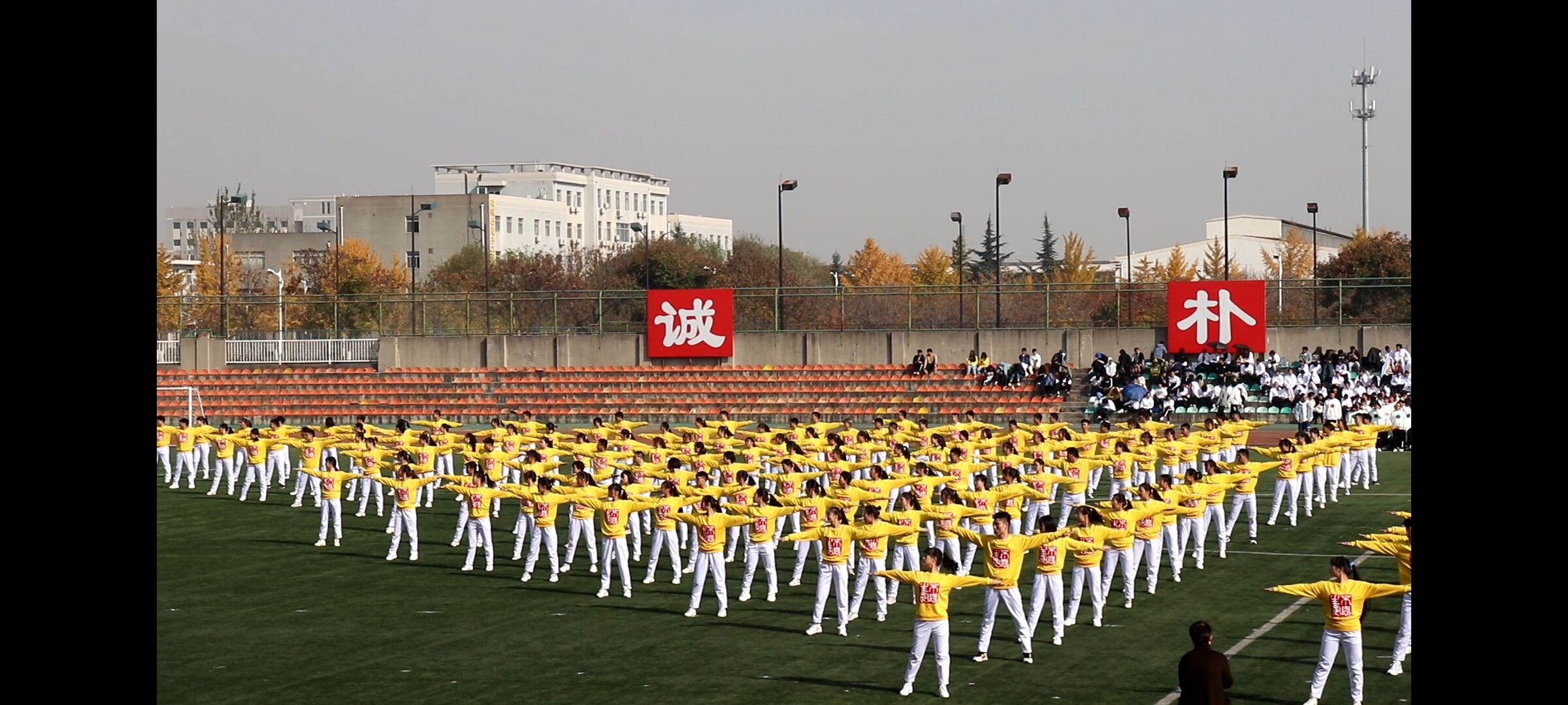 172cd3ead80f49a1a2f7d8c23bda4760.jpg 172cd3ead80f49a1a2f7d8c23bda4760.jpg